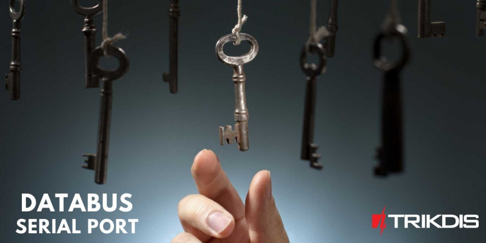 Controllo diretto della centrale d'allarme tramite bus dati o porta seriale