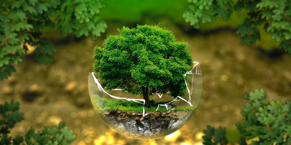 Il nostro impegno verde