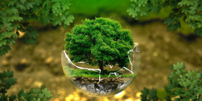 Il nostro impegno verde